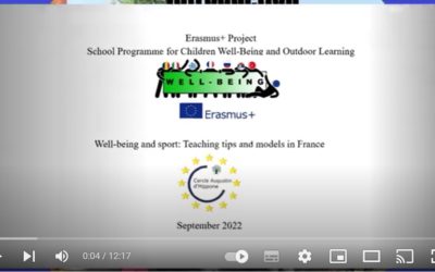 Well-Being and sport: Teaching tips and models in France / CAH